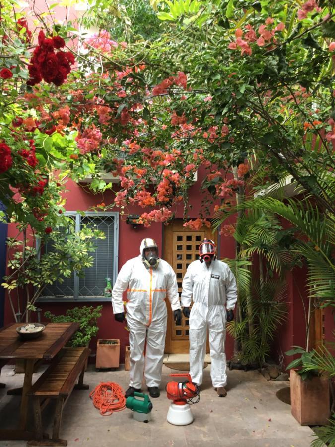 פארו Figuras House Luxury Villa מראה חיצוני תמונה